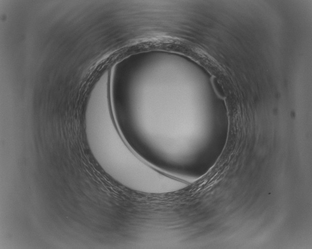 X0000070190822200605261002