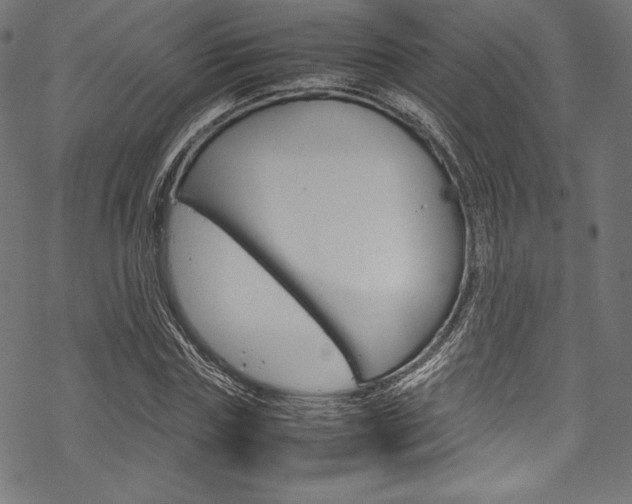X0000070190827200605261002