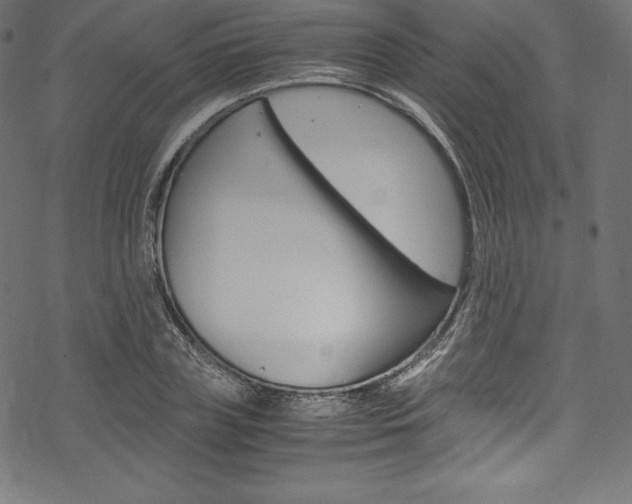 X0000070190835200605261002