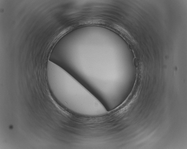 X0000070190841200605261003