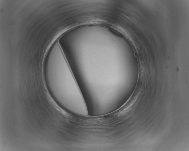 X0000070190843200605261003
