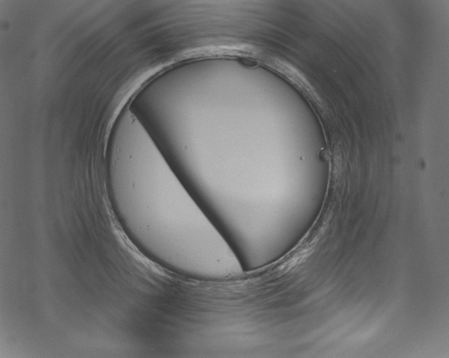 X0000070190844200605261003