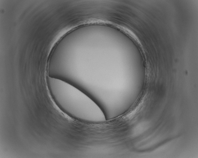X0000070190847200605261003