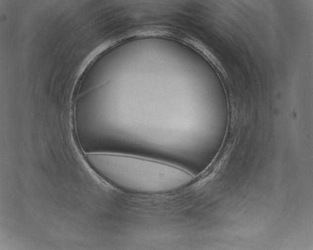 X0000070190853200605261003