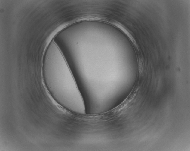 X0000070190861200605261003