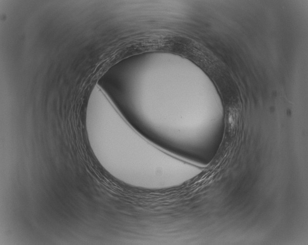 X0000070190867200605261002