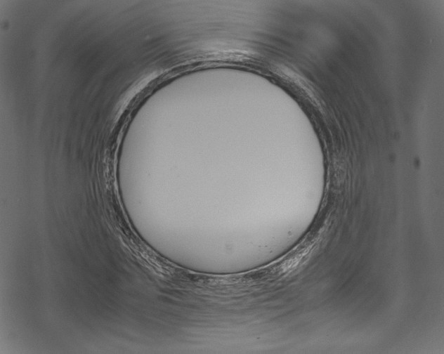 X0000070190875200605261002