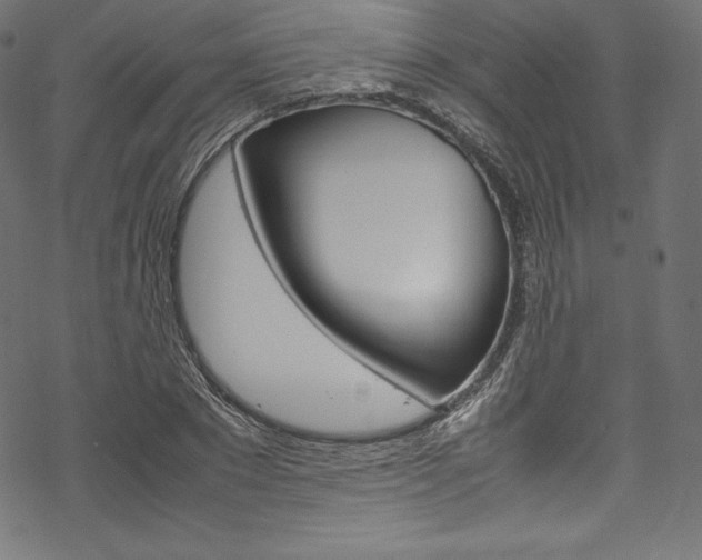 X0000070190881200605261002