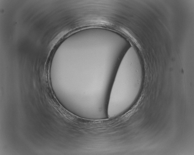 X0000070190883200605261002