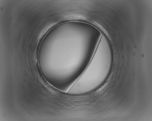 X0000070190885200605261002