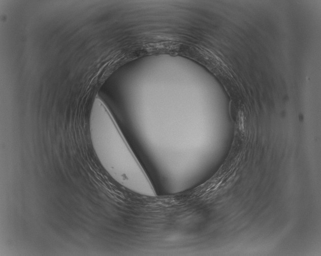 X0000070190915200605261001