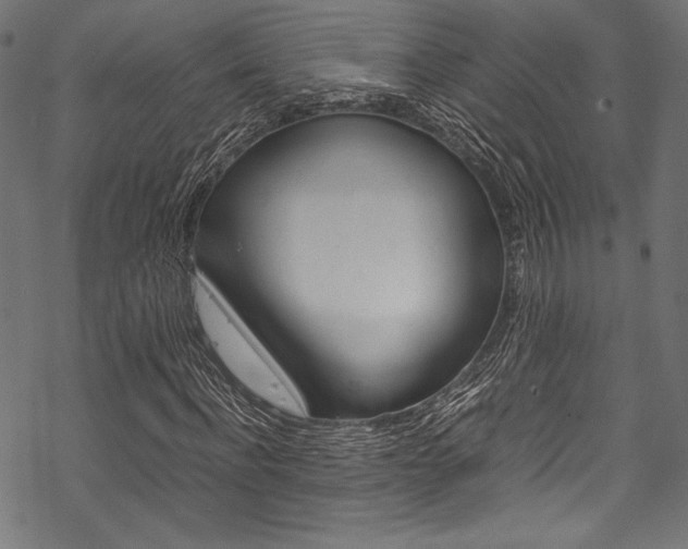 X0000070190916200605261001