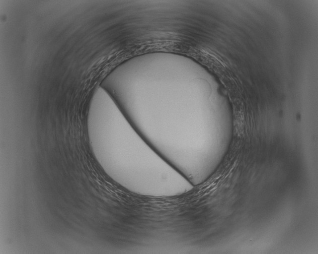 X0000070190917200605261001
