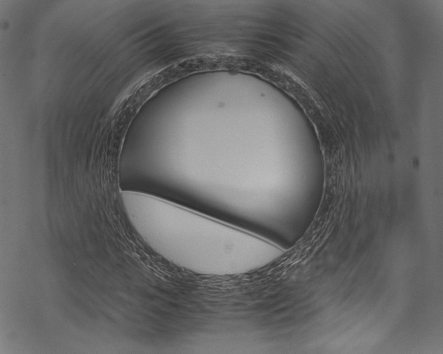 X0000070190919200605261001