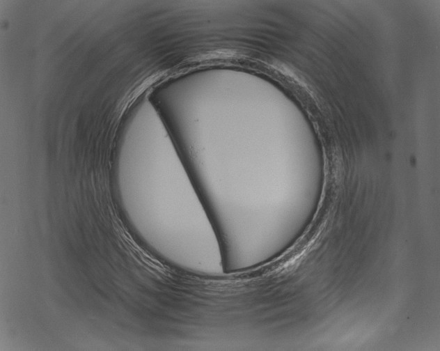 X0000070190921200605261001