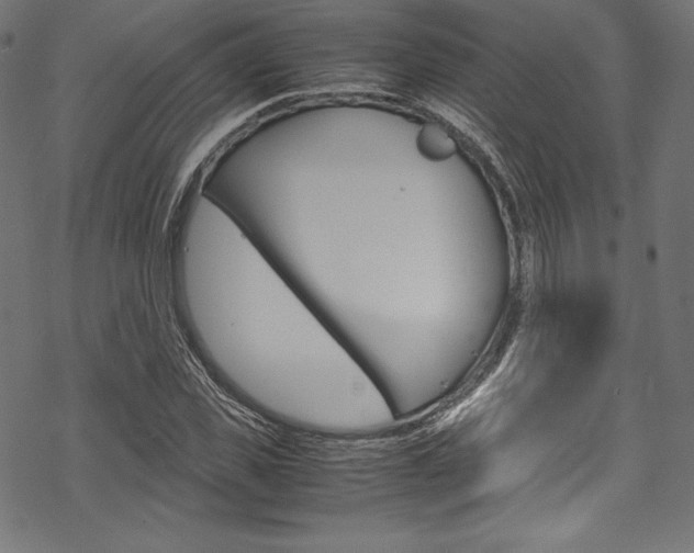 X0000070190925200605261001