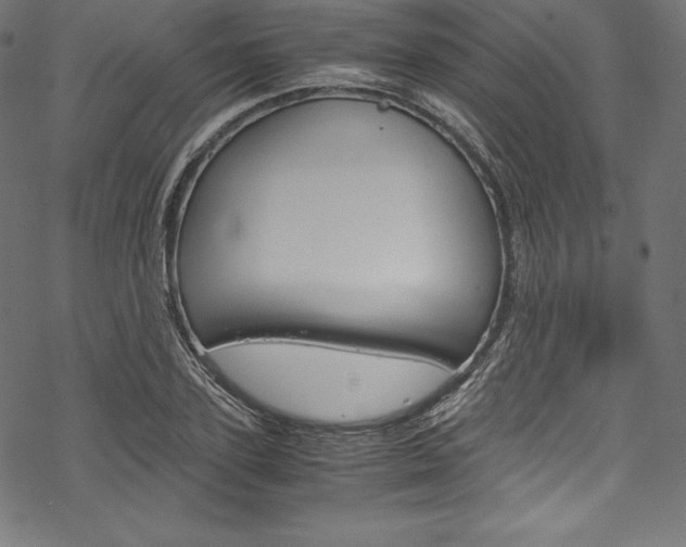 X0000070190931200605261001