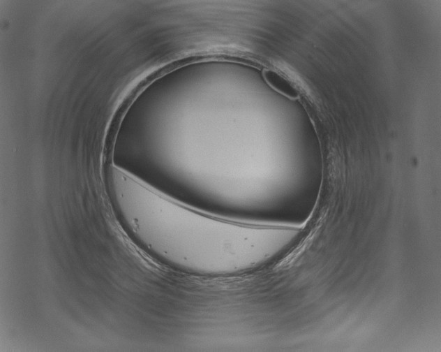 X0000070190932200605261001