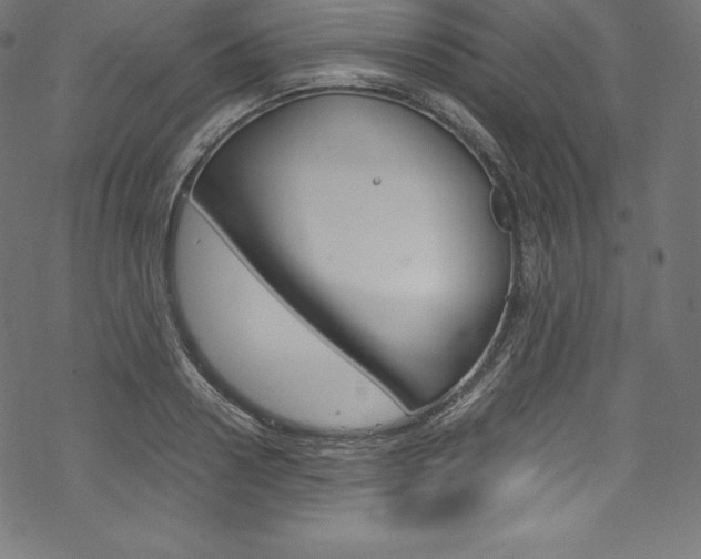 X0000070190938200605261001