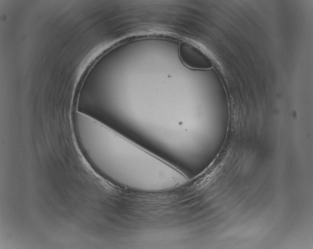 X0000070190943200605261001