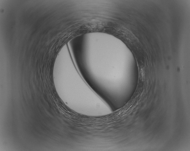 X0000070190963200605261001