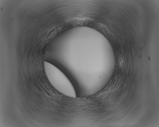 X0000070190964200605261001