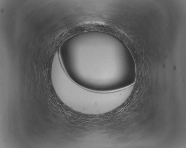 X0000070190965200605261001