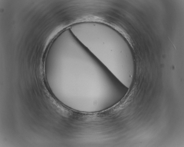 X0000070190990200605261000