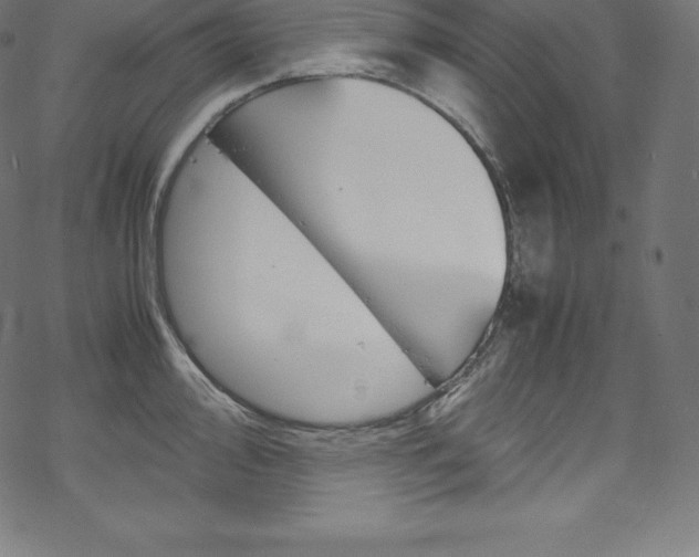 X0000070191000200605261000