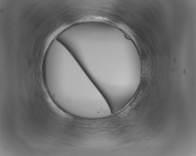 X0000070191003200605261000