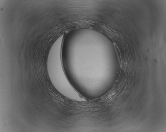 X0000070191010200605260959
