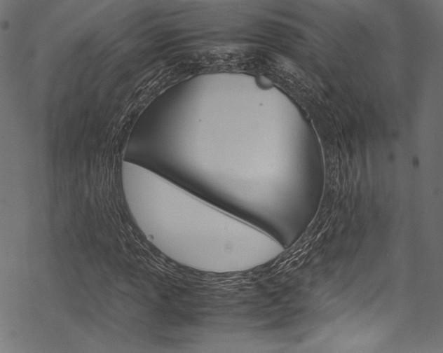 X0000070191013200605260959