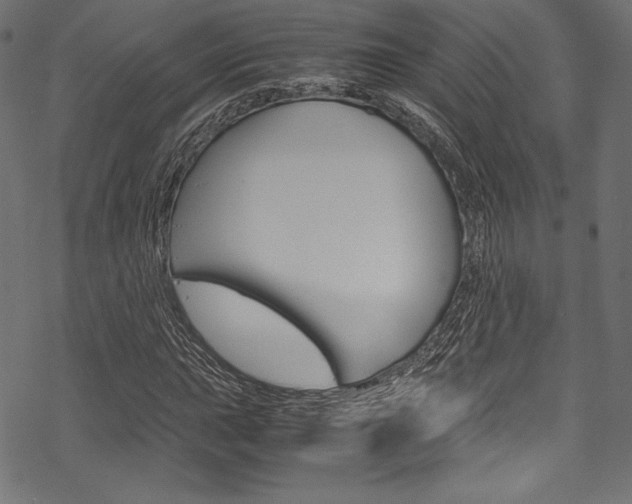 X0000070191015200605260959
