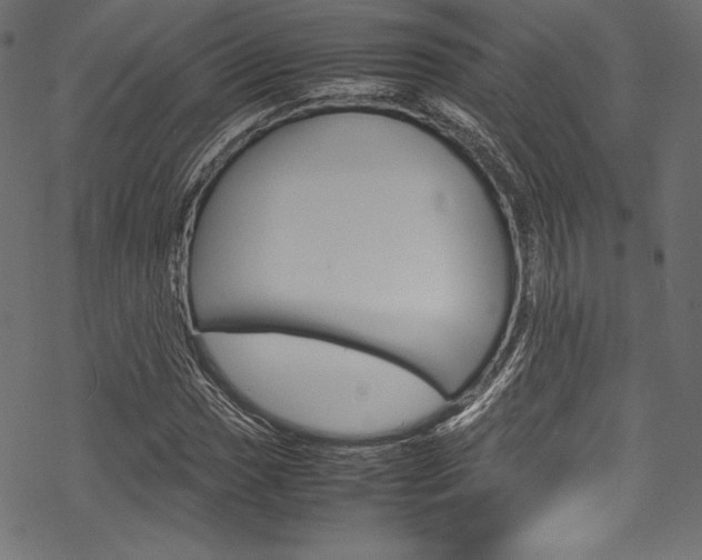 X0000070191017200605260959