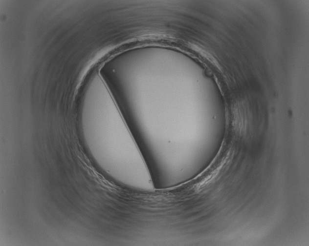 X0000070191021200605260959
