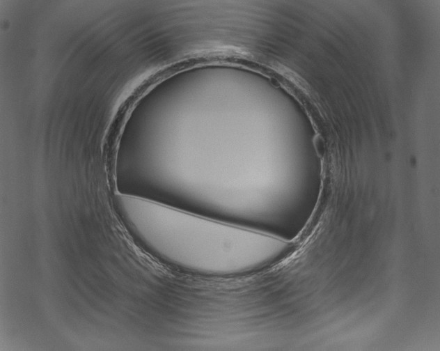 X0000070191022200605260959