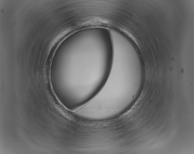 X0000070191026200605260959