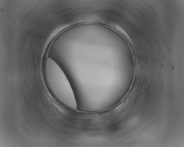X0000070191035200605260959