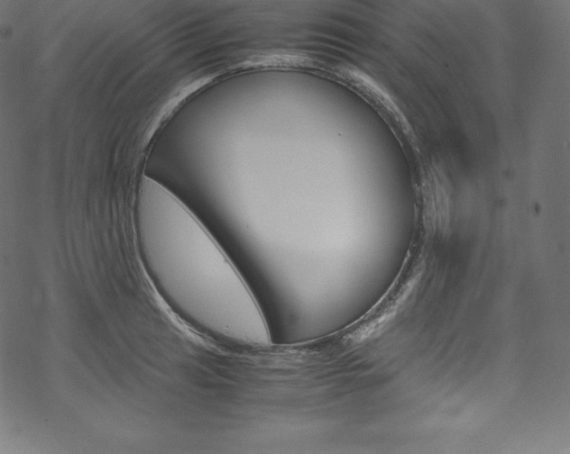 X0000070191041200605261000