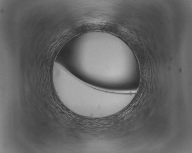 X0000070191061200605260959