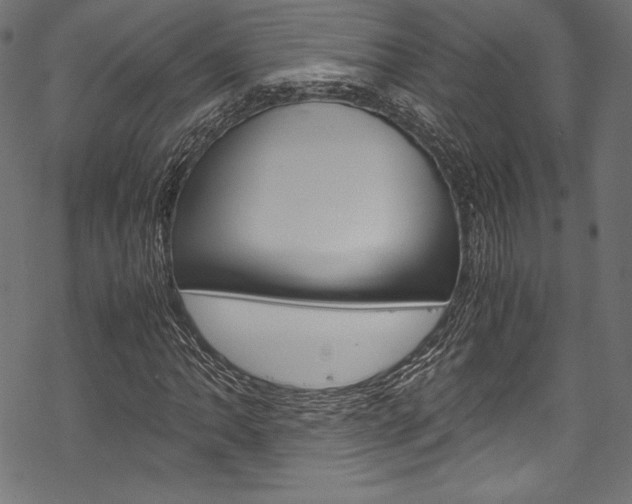 X0000070191062200605260959