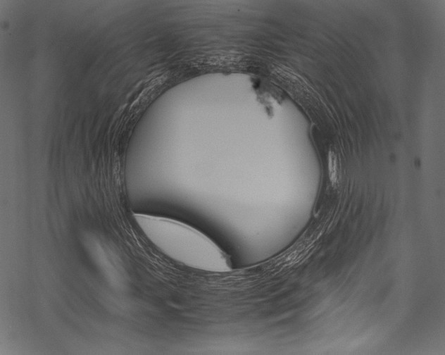X0000070191107200605260958