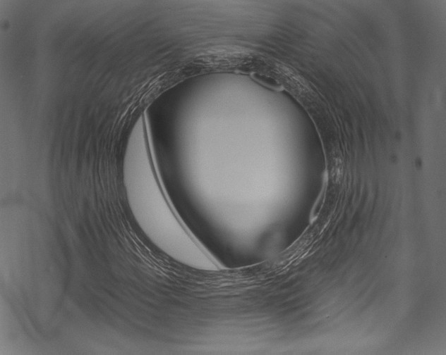 X0000070191108200605260958