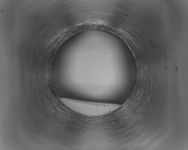 X0000070191110200605260958