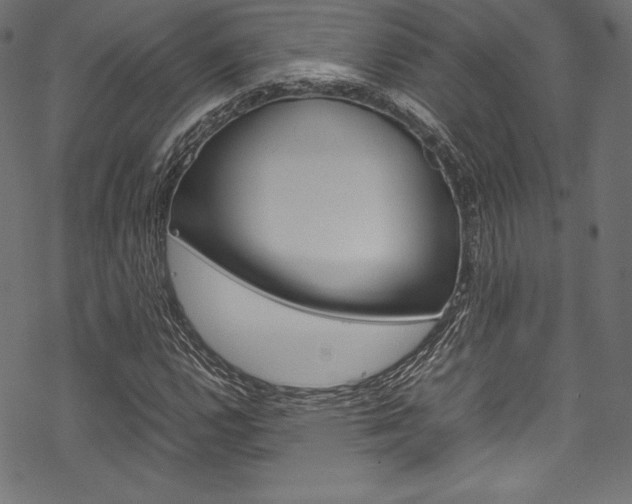 X0000070191112200605260958