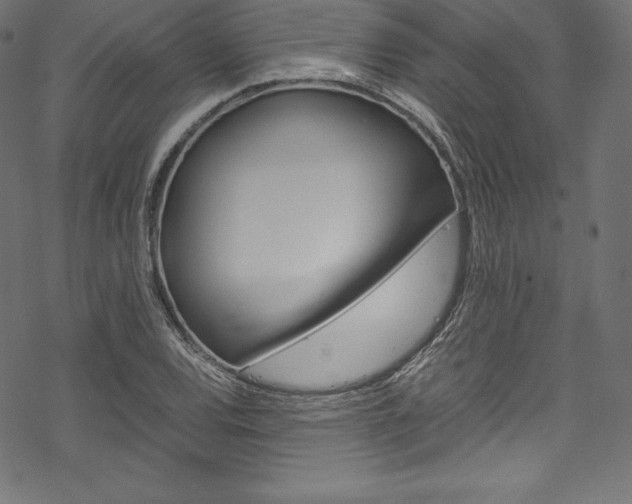 X0000070191120200605260958