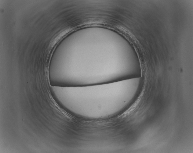 X0000070191121200605260958