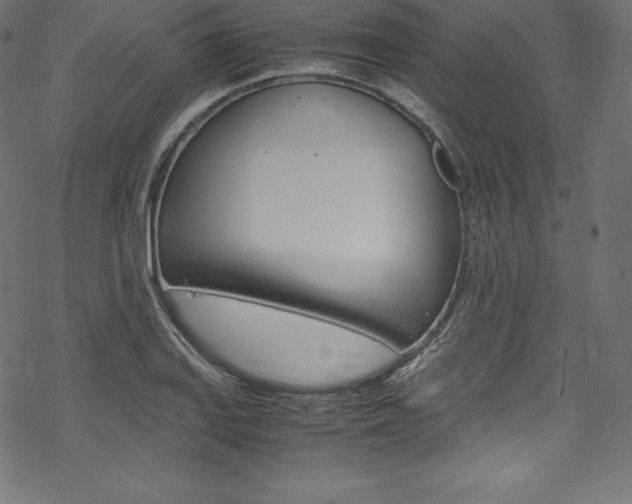 X0000070191127200605260958