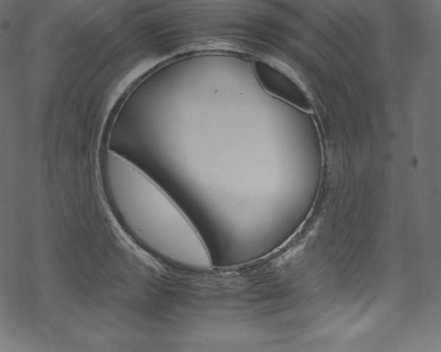 X0000070191133200605260958