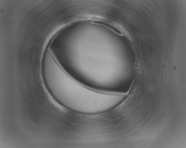 X0000070191136200605260958